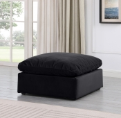 147Black-Ott alternate view 1