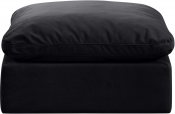 147Black-Ott alternate view 2