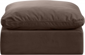 147Brown-Ott alternate view 2