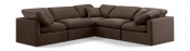 147Brown-Sec5C