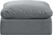 147Grey-Ott alternate view 2