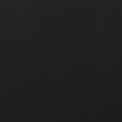 668Black-Sec5C alternate view 8