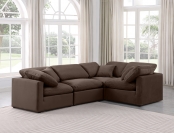 147Brown-Sec4C alternate view 1