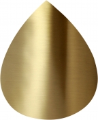 99087Gold-CT alternate view 3