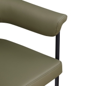 427Olive-C alternate view 6