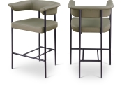 428Olive-C Double Chair