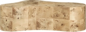 99067Burl-CT alternate view 2