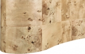 99067Burl-CT alternate view 4