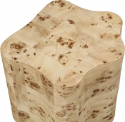 99067Burl-ET alternate view 5