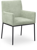 11001Mint-C