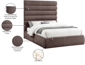 B1255Brown-Q70 Infographic