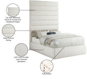 B1255Cream-F90 Infographic