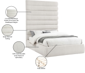 B1255Cream-Q90 Infographic
