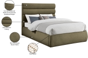 B1256Olive-Q Infographic