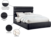 B1257Black-Q Infographic