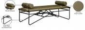 22052Olive Infographic