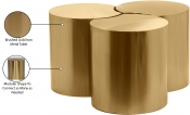 99081Gold-3E Infographic