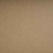 44067Tan-L alternate view 12