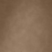 22096Brown alternate view 8