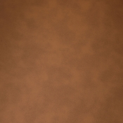 22096Cognac alternate view 8