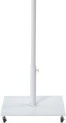349White alternate view 8