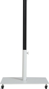 55019White-AW alternate view 3
