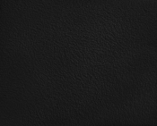 190Black alternate view 11
