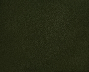 190Green alternate view 11