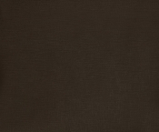 197Brown alternate view 11