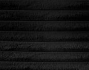 DexterBlack-T alternate view 5
