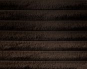 DexterBrown-T alternate view 5