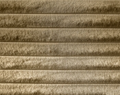 DexterCamel-Q alternate view 5