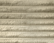 DexterCream-F alternate view 5