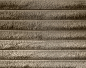 DexterTaupe-T alternate view 5