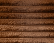 DrewSaddle-Q alternate view 5