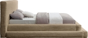 DrewTaupe-Q alternate view 3