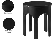 99076Black-E Infographic