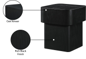 99039Black-E Infographic