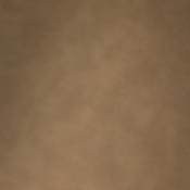 847Tan-C alternate view 7