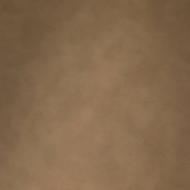 898Tan-C alternate view 8