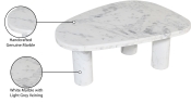 99008White-CT Infographic