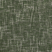 869Green-C alternate view 7