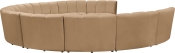 638Camel-10PC alternate view 3