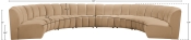 638Camel-8PC Dim