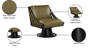 33002Olive Infographic
