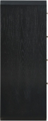 300Black-CH alternate view 3