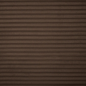 641Brown-Ott alternate view 5