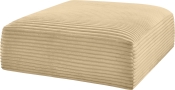 641Camel-Ott alternate view 3