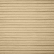 641Camel-Ott alternate view 5
