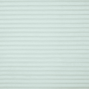 641Mint-Ott alternate view 5